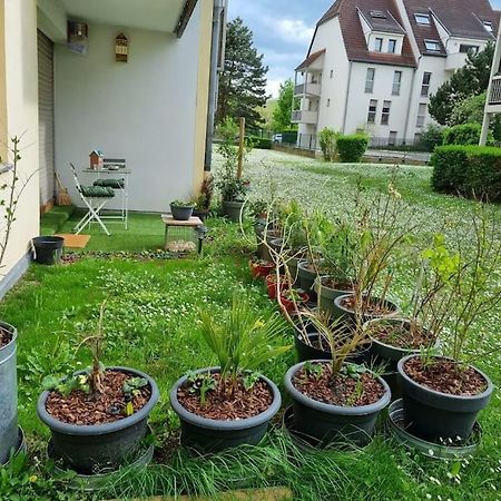 Apartamento L'Univers Au Blanc. Estrasburgo Exterior foto