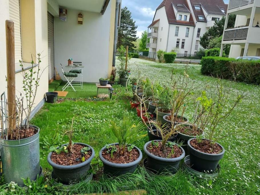 Apartamento L'Univers Au Blanc. Estrasburgo Exterior foto